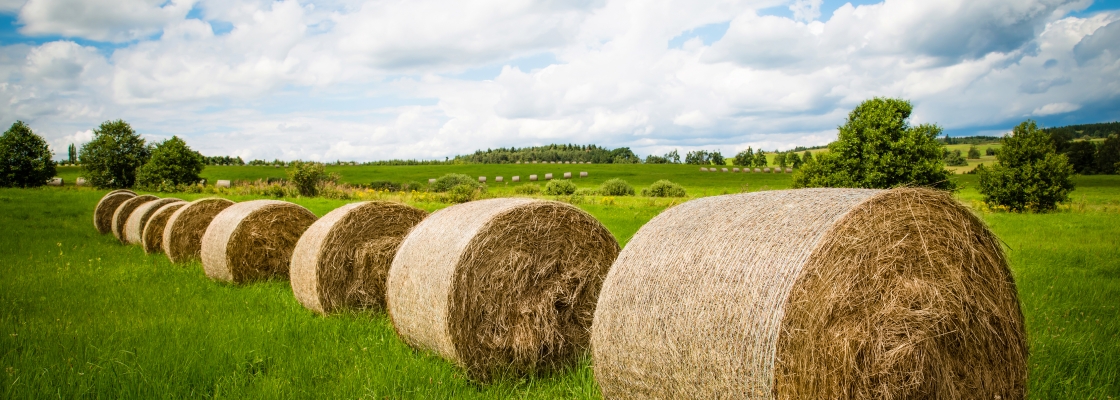 straw bail