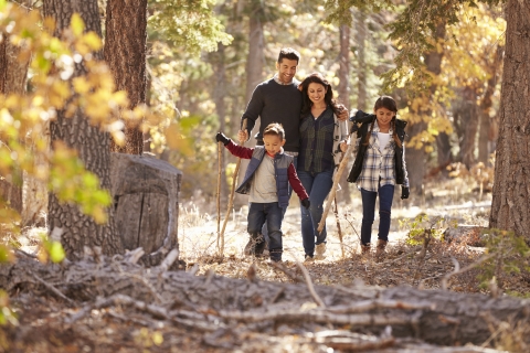 Family Walking in Woods