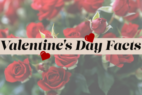 valentine-day-facts