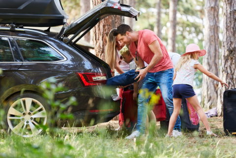 Summer Road Trip Guide